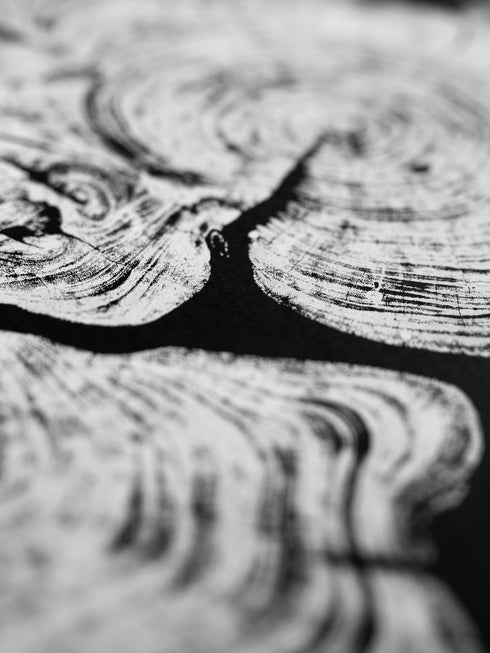 "Cypress" - Tree Print - Black Paper